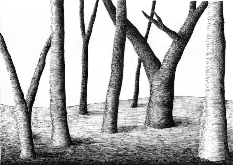 Calm Forest in Pen and Ink