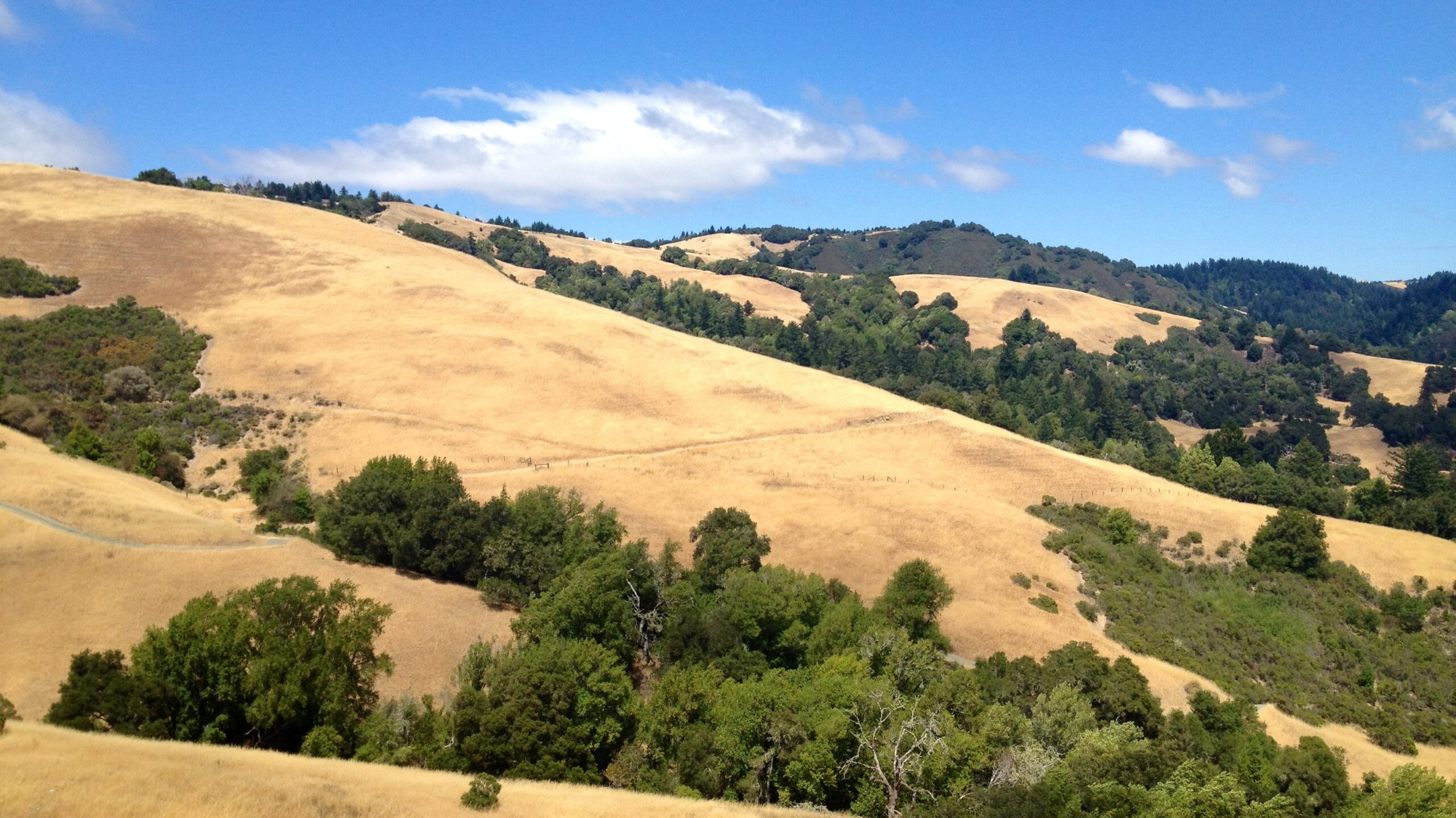 California Landscape